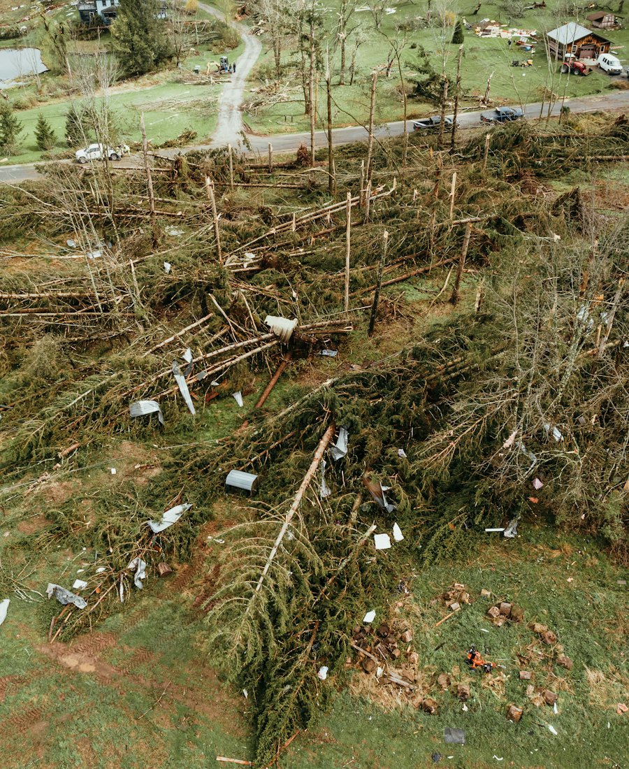 Trees knocked down across a property after a storm