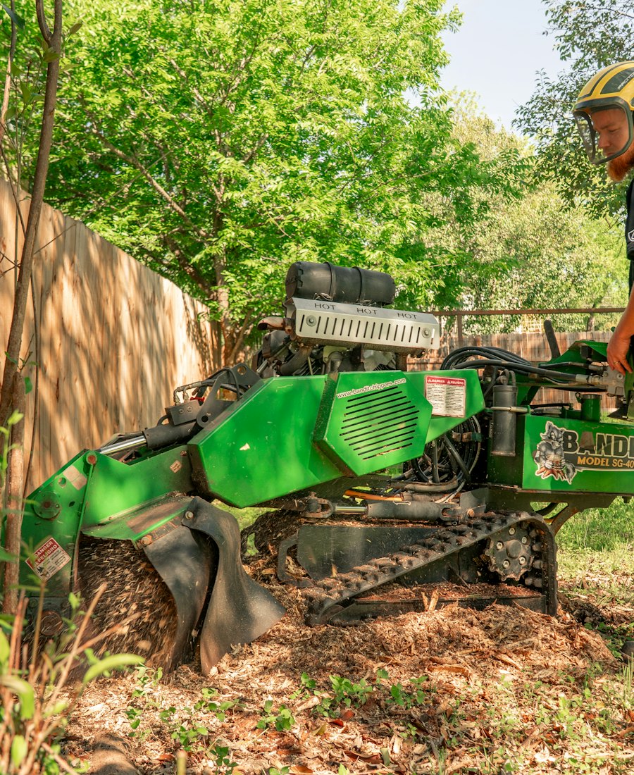 Stump grinder working through a tree stump